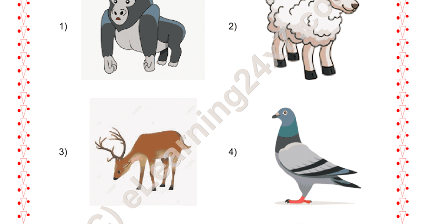 Grade 2, EVS, Animals - Circle Pet Animals, printable PDF, instant download