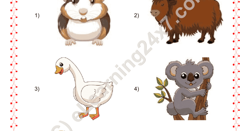 Grade 2, EVS, Animals - Circle Wild Animals, printable PDF, instant download