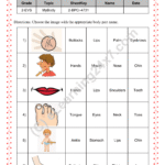Identify Body Parts