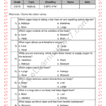 Grade 2, EVS, Body - Internal Organs MCQs, printable PDF, instant download