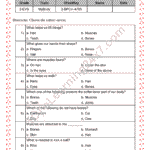 Grade 2, EVS, Body - Muscles & Bones MCQs, printable PDF, instant download