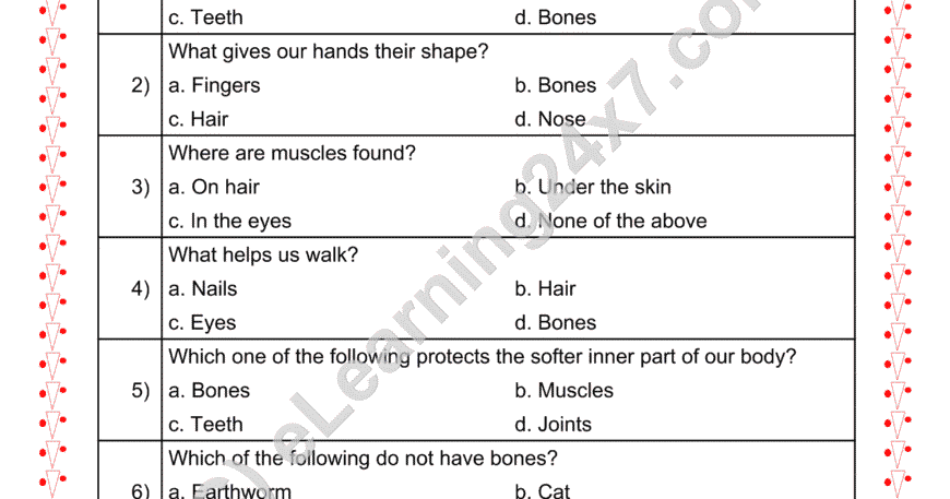 Muscles & Bones MCQs