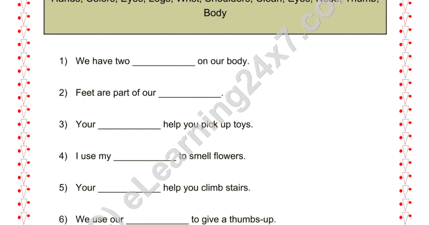 External Organs Fill Blanks