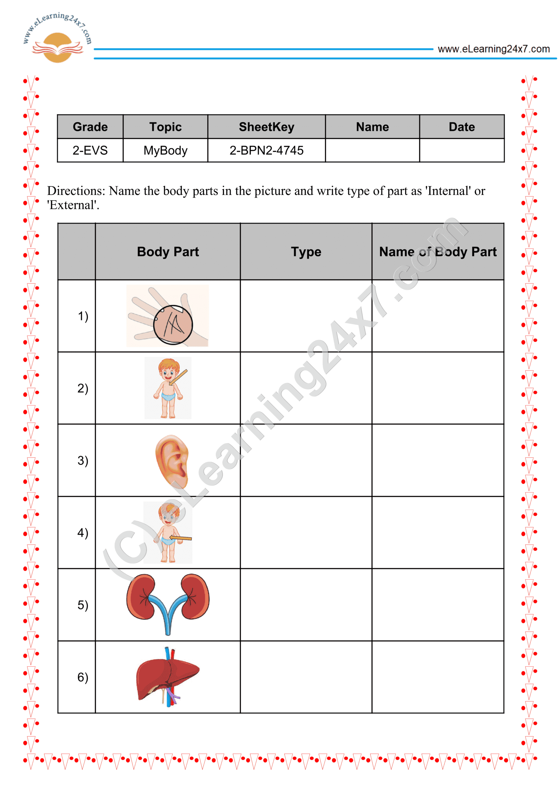 Name Body Parts Advanced