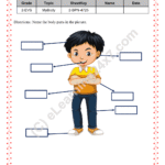 Name Body Parts
