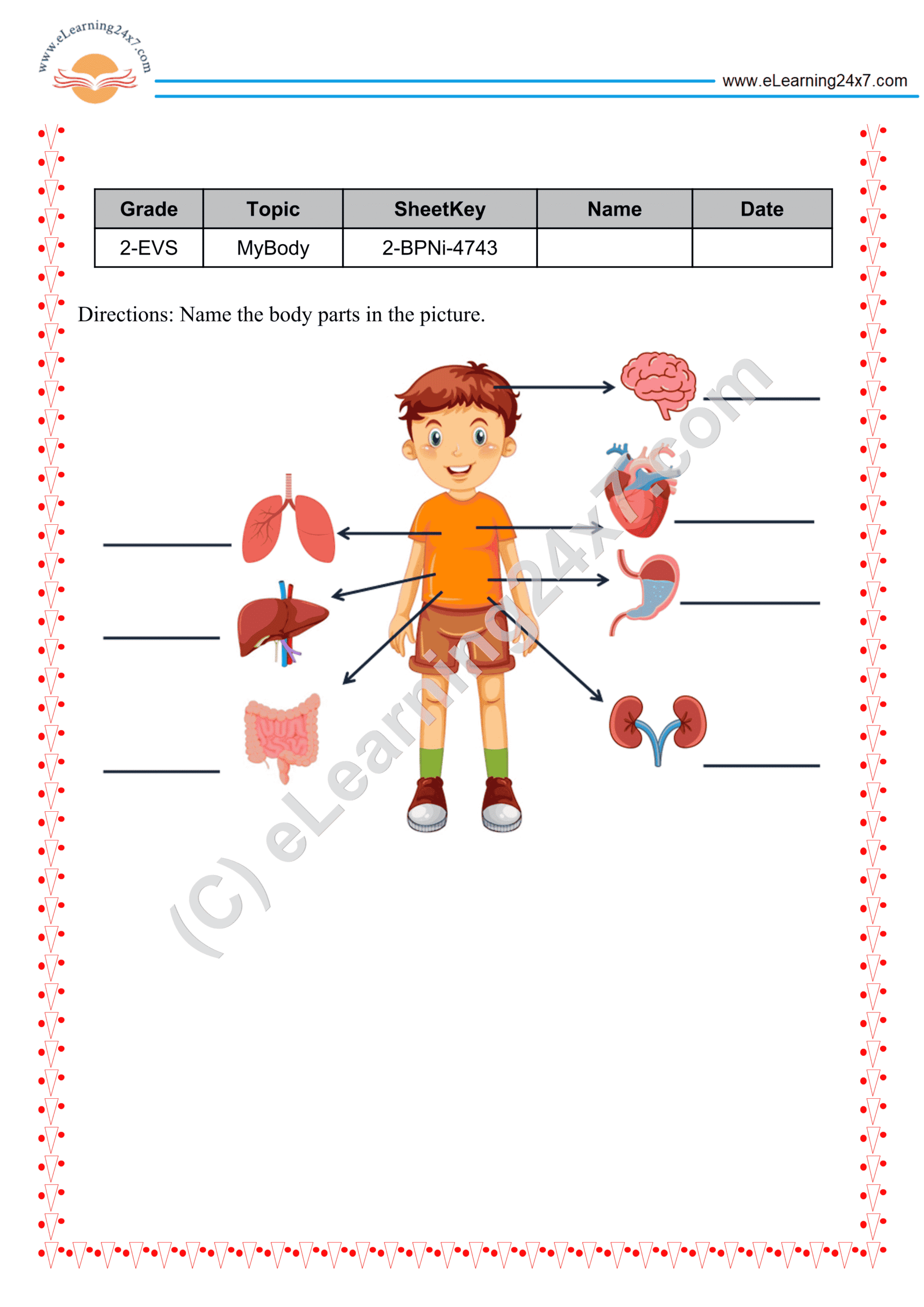 Grade 2, EVS, Body - Name Internal Body Parts, printable PDF, instant download