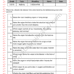 Grade 2, EVS, Body - Identify Internal Body Part, printable PDF, instant download