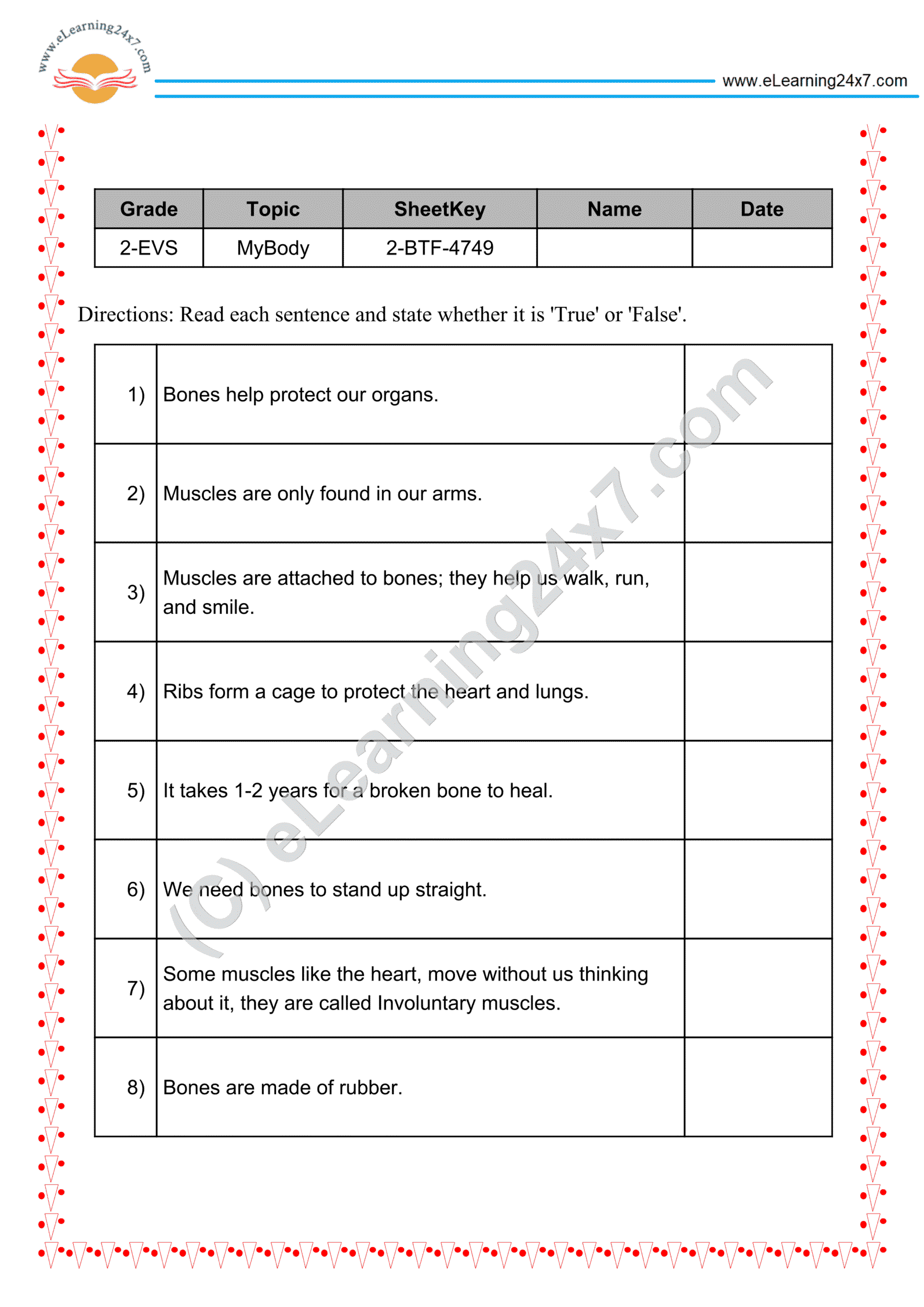 Grade 2, EVS, Body - Muscles & Bones True Or False, printable PDF, instant download