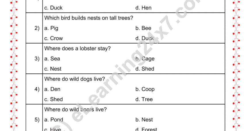 Grade 2, EVS, Shelter - Choose Animal House, printable PDF, instant download