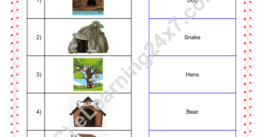Grade 2, EVS, Shelter - Match Animal House Pairs, printable PDF, instant download
