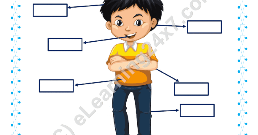 Grade 1, EVS, Body - Name Body Parts, printable PDF, instant download