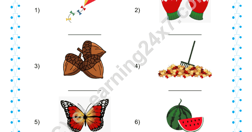 Grade 1, EVS, Seasons - Name The Seasons, printable PDF, instant download