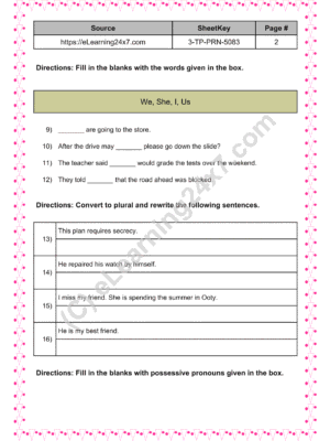 Grade 3, English - Pronoun Mock Test Paper, printable PDF, instant download (page 2)