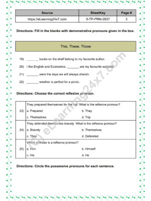 Grade 5, English - Pronoun Mock Test Paper, printable PDF, instant download (page 3)